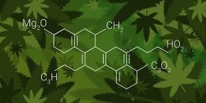Le CBD est-il un produit dopant?