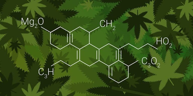 Read more about the article Le CBD est-il un produit dopant?