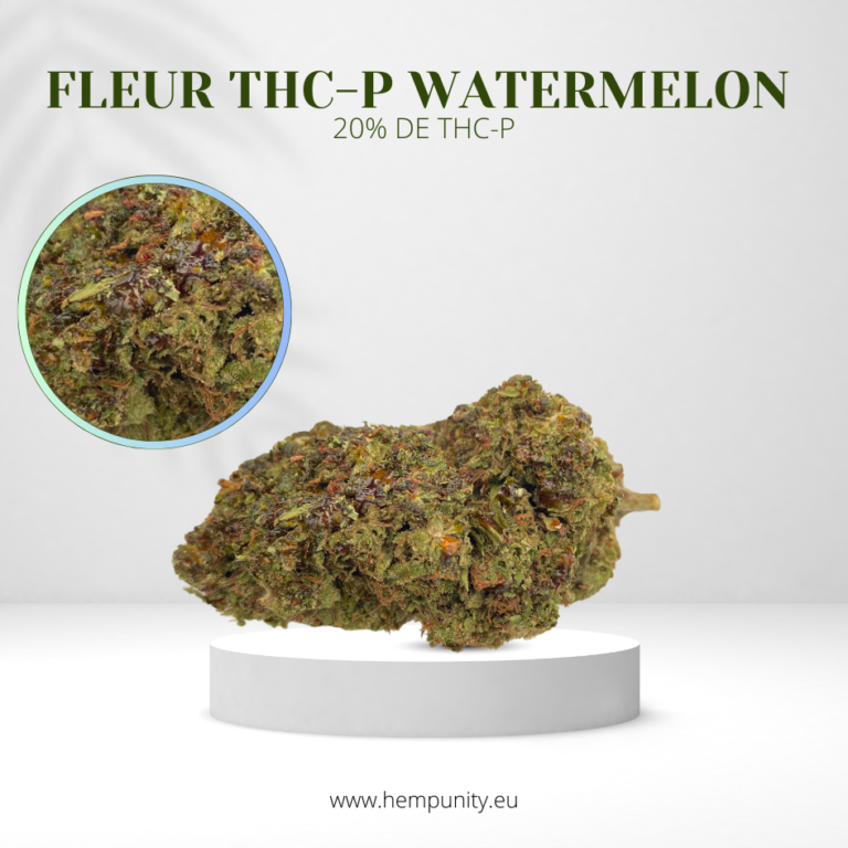 Read more about the article Qu’est-ce que le THCP ? Découverte et Analyse Approfondie