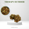 Fleur CBD Outdoor Therapy