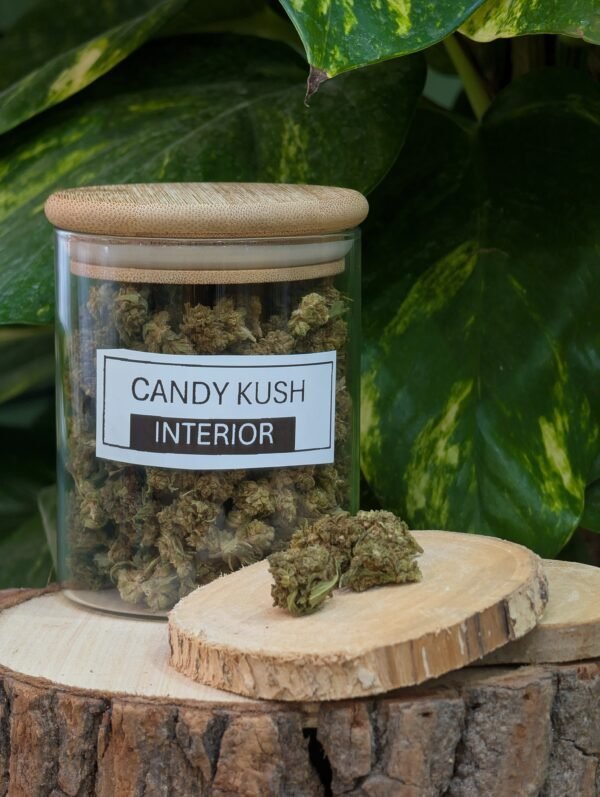 candy-kush