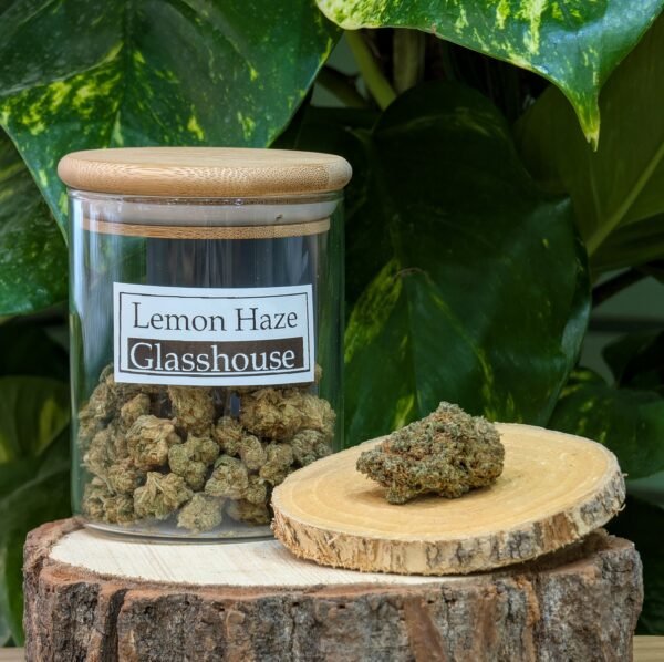 lemon_haze