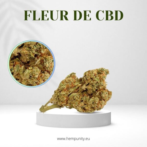 Fleur CBD Minis Buds Raspberry Récolte 2024