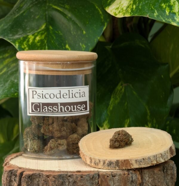 Flor de CBD Psicodelicia – 30% Glasshouse - Imagen 3
