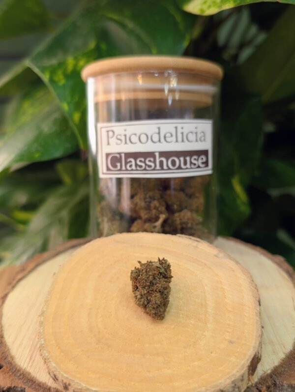 Flor de CBD Psicodelicia – 30% Glasshouse - Imagen 2